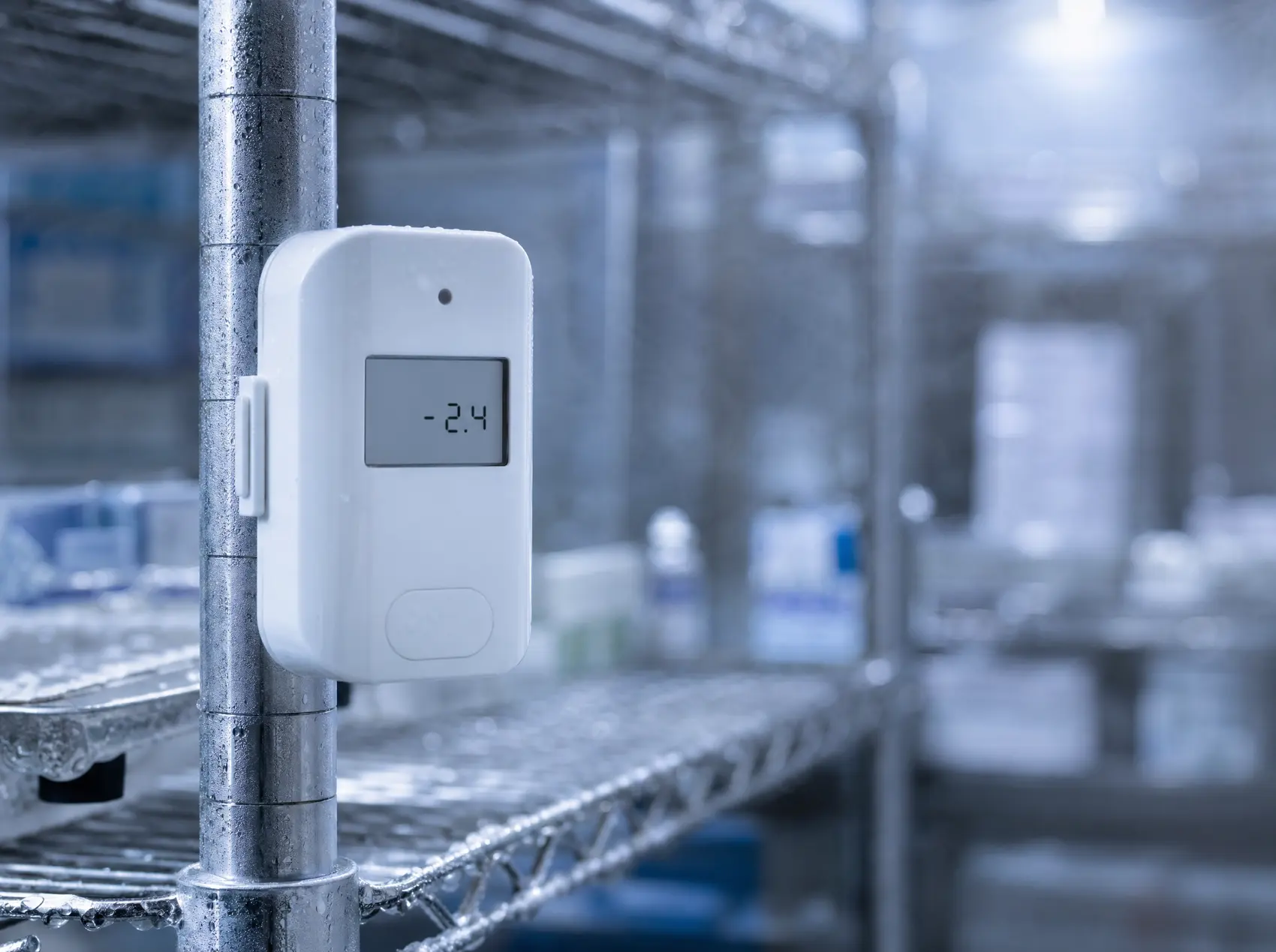 A calibrated wireless data logger recording temperature inside a walk-in cold room